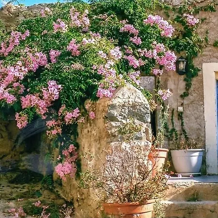 Le Patio. Casa Mucchielli * Corbara